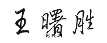 骆恒光王曙胜行书个性签名怎么写