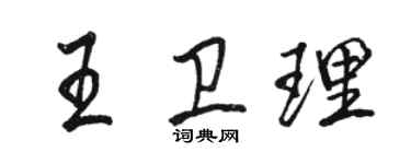 骆恒光王卫理行书个性签名怎么写