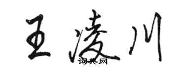 骆恒光王凌川行书个性签名怎么写
