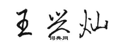 骆恒光王兴灿行书个性签名怎么写