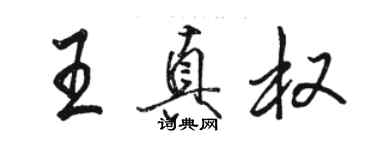 骆恒光王真权行书个性签名怎么写