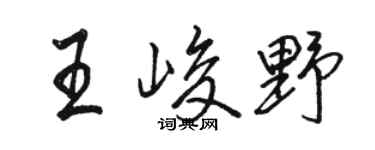 骆恒光王峻野行书个性签名怎么写