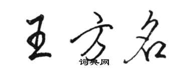 骆恒光王方名行书个性签名怎么写
