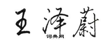 骆恒光王泽蔚行书个性签名怎么写