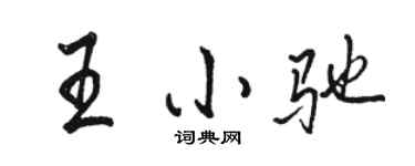 骆恒光王小驰行书个性签名怎么写