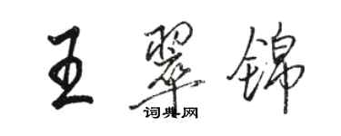 骆恒光王翠锦行书个性签名怎么写