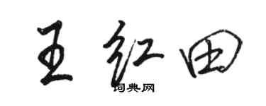 骆恒光王红田行书个性签名怎么写