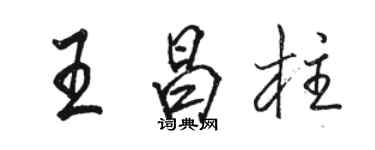 骆恒光王昌柱行书个性签名怎么写
