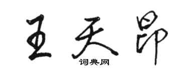 骆恒光王天昂行书个性签名怎么写