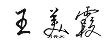骆恒光王美霞行书个性签名怎么写