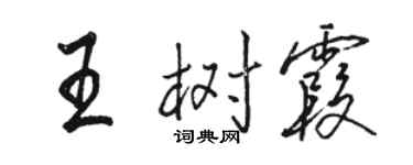 骆恒光王树霞行书个性签名怎么写
