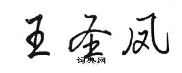 骆恒光王圣凤行书个性签名怎么写