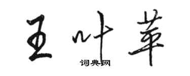 骆恒光王叶苹行书个性签名怎么写