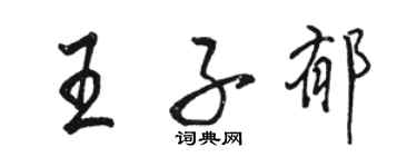 骆恒光王子郁行书个性签名怎么写