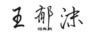 骆恒光王郁沫行书个性签名怎么写