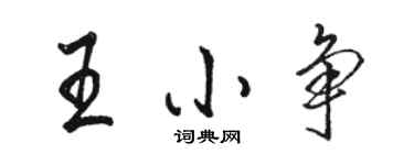 骆恒光王小争行书个性签名怎么写
