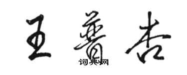 骆恒光王普杏行书个性签名怎么写