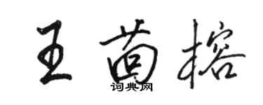 骆恒光王茴榕行书个性签名怎么写