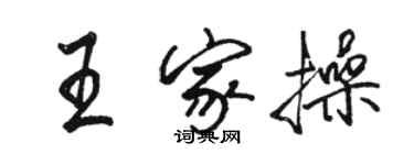 骆恒光王家操行书个性签名怎么写