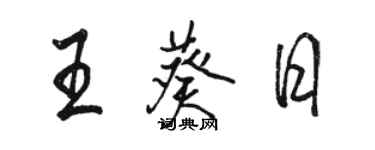 骆恒光王葵日行书个性签名怎么写