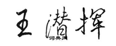 骆恒光王潜挥行书个性签名怎么写