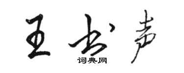 骆恒光王书声行书个性签名怎么写