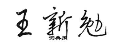 骆恒光王新勉行书个性签名怎么写