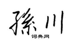 王正良孙川行书个性签名怎么写