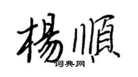 王正良杨顺行书个性签名怎么写