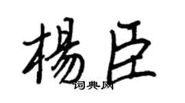 王正良杨臣行书个性签名怎么写