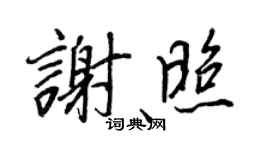 王正良谢照行书个性签名怎么写