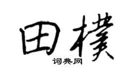 王正良田朴行书个性签名怎么写