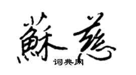 王正良苏慈行书个性签名怎么写