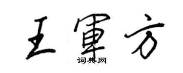 王正良王军方行书个性签名怎么写