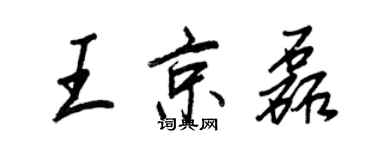 王正良王京磊行书个性签名怎么写