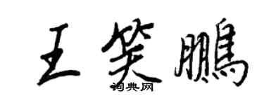 王正良王笑鹏行书个性签名怎么写