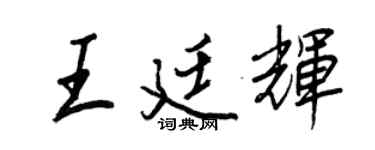 王正良王廷辉行书个性签名怎么写