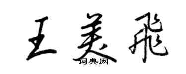 王正良王美飞行书个性签名怎么写