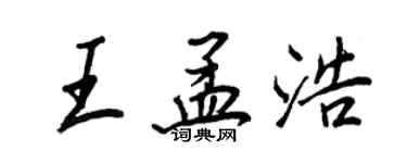 王正良王孟浩行书个性签名怎么写