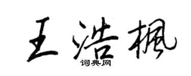 王正良王浩枫行书个性签名怎么写