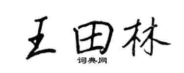 王正良王田林行书个性签名怎么写