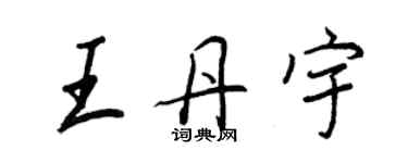 王正良王丹宇行书个性签名怎么写