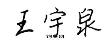 王正良王宇泉行书个性签名怎么写
