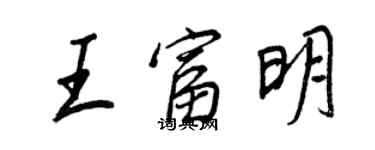 王正良王富明行书个性签名怎么写