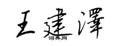 王正良王建泽行书个性签名怎么写