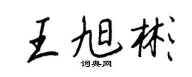 王正良王旭彬行书个性签名怎么写