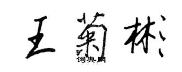 王正良王菊彬行书个性签名怎么写