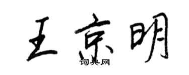 王正良王京明行书个性签名怎么写