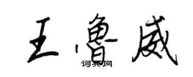 王正良王鲁威行书个性签名怎么写