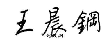 王正良王晨钢行书个性签名怎么写